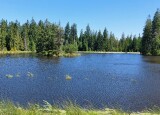 20250624_111226.jpg