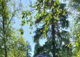 20250624_110529.jpg