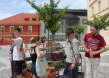 IMG_3437.JPG