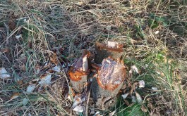 u6wjgthidg_____Média (3)