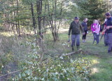 100_3750.JPG