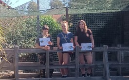 u6wjgthidg_____Média (3)