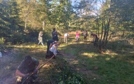 u6wjgthidg_____Média (3)