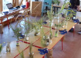 100_3745.JPG