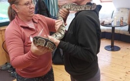 7bo82fce5a_____Média (9)