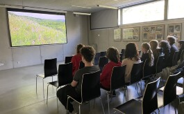 zra7s5u8q2_____IMG_3144