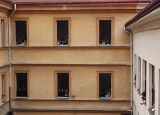 IMG_20251010_112119.jpg