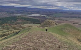 nryofk6zn6_____IMG_9610