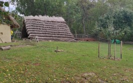 nryofk6zn6_____IMG_9610