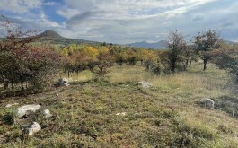 nryofk6zn6_____IMG_9610