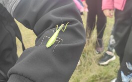 nryofk6zn6_____IMG_9610