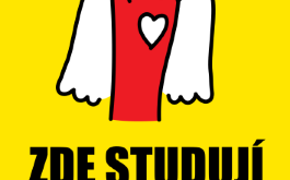 xlunpf0eff_____WhatsApp Image 2025-11-06 at 12.17.08