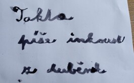 oxz0i0xgky_____1762869857963