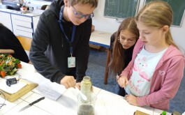 oxz0i0xgky_____1762869857963