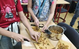 oxz0i0xgky_____1762869857963