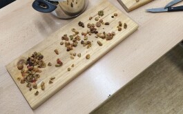 oxz0i0xgky_____1762869857963