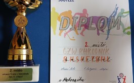 x70vham3ih_____1000019381