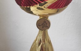 k69f7hs39r_____1763109601525