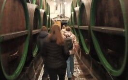 dr4dtoo9tv_____IMG_20251121_110927