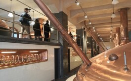 dr4dtoo9tv_____IMG_20251121_110927