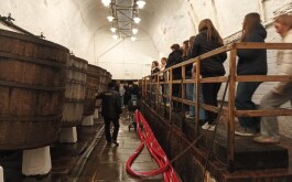 dr4dtoo9tv_____IMG_20251121_110927