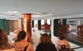 dr4dtoo9tv_____IMG_20251121_110927