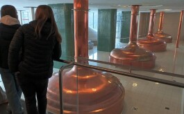 dr4dtoo9tv_____IMG_20251121_110927