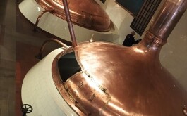 dr4dtoo9tv_____IMG_20251121_110927