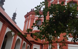 0vtzzudqzg_____9a06d276-c3f0-4fce-8d11-bdbef1711123