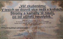 0vtzzudqzg_____9a06d276-c3f0-4fce-8d11-bdbef1711123