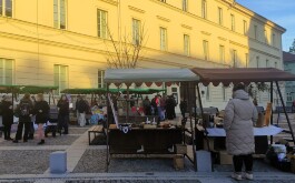 oakrknrk7i_____IMG_20251211_150550