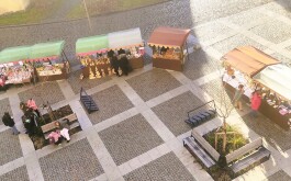 oakrknrk7i_____IMG_20251211_150550