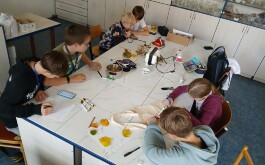 2qtid9wjss_____kat IV_4