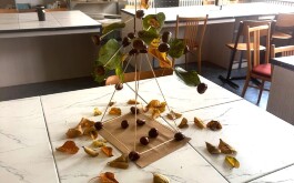 2qtid9wjss_____kat IV_4