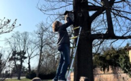 cnhblr34iq_____WhatsApp Image 2026-03-08 at 10.54.56