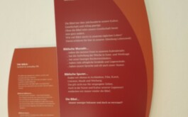 52evt99y5b_____Gruppenfoto am Bodensee