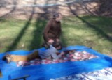 100_3781.JPG
