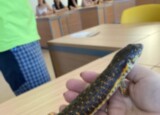 IMG_3369.JPEG