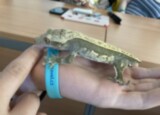 IMG_3346.JPEG