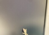 IMG_3375.JPEG