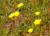 100_3806.JPG