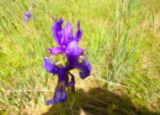 100_3800 - kopie.JPG