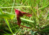 100_3815.JPG