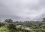 IMG_4465.jpeg