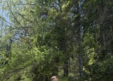 IMG_1710.jpeg