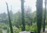 20260610_103131.jpg