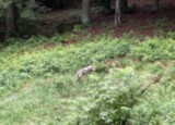 IMG_4048.jpeg
