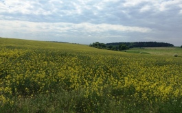 46qdonrcmc_____w2809kqwvs-20150526-161209_1170_700_SHRINK_ONLY__85_jpg_