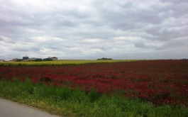 46qdonrcmc_____w2809kqwvs-20150526-161209_1170_700_SHRINK_ONLY__85_jpg_