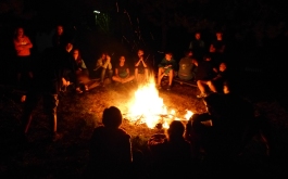 g36sg1elkt_____actwps7oiv-p1020380_1170_700_SHRINK_ONLY__85_jpg_